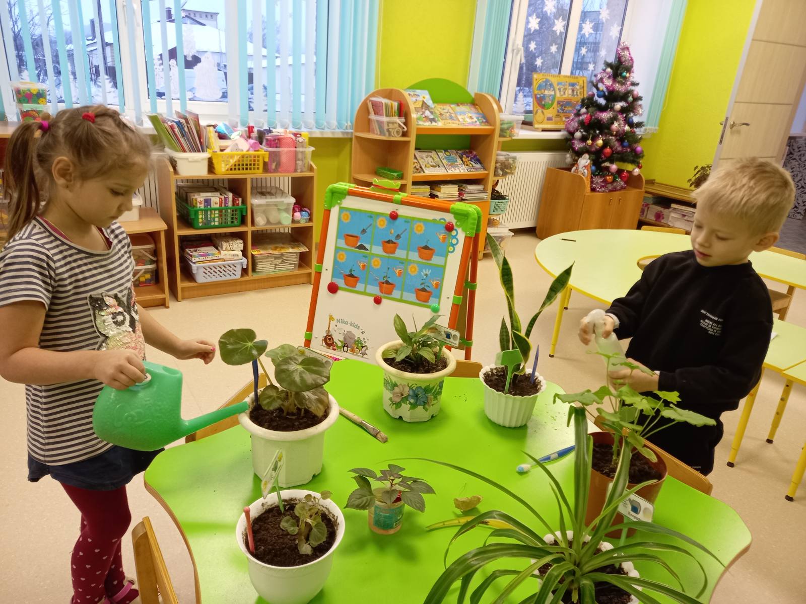 Уход за комнатными растениями в детском саду